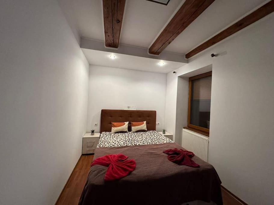 Iazi Apartament Брашов Экстерьер фото