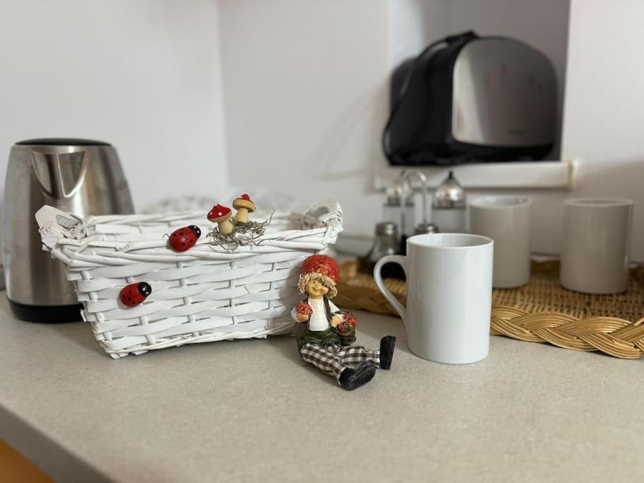Iazi Apartament Брашов Экстерьер фото