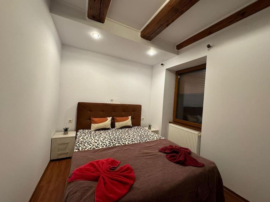 Iazi Apartament Брашов Экстерьер фото
